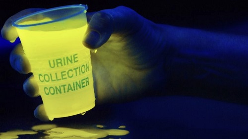 1605495347151103.jpg 熒光原理.jpg