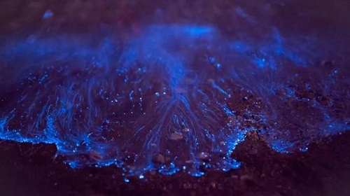 1606269730160730.jpg 自然夜光.jpg